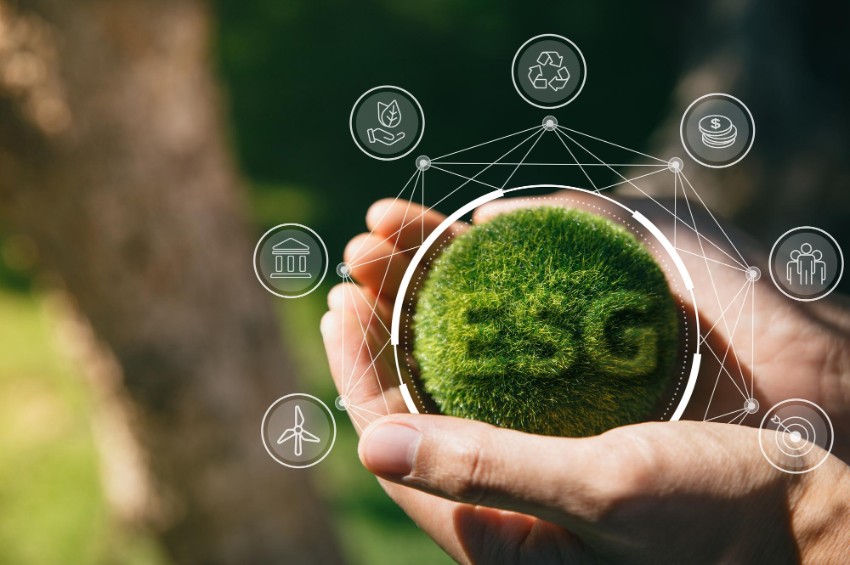 Calls for setting ESG goals beyond mere compliance